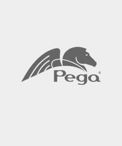 Pegasystems